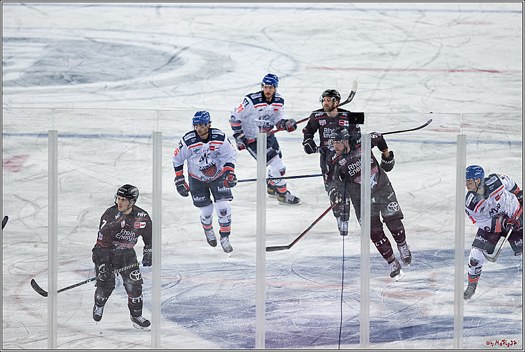 PENNY DEL WINTER GAME; Kölner Haie - Adler Mannheim; Köln, 03.12.2022